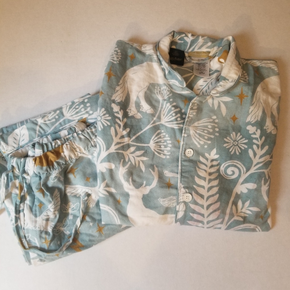 Pottery Barn Teens Harry Potter Flannel Pajamas Sz L